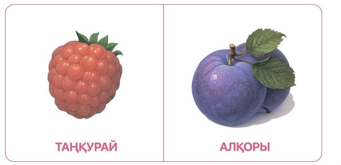 ЖЕМІСТЕР