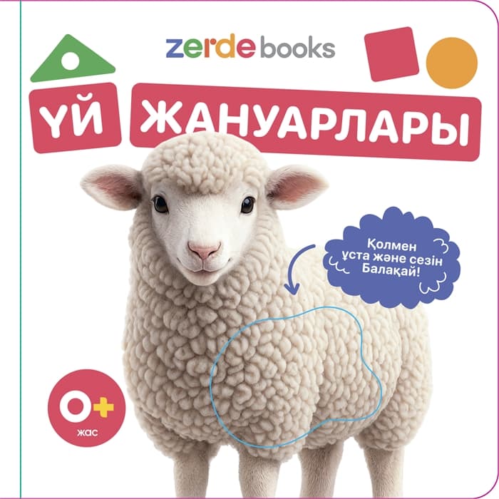Тактильді кітаптар жиынтығы 5 штук